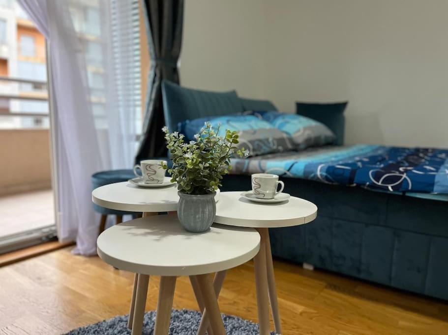 Lovely Apartment With The Parking Place Podgorica Exteriör bild